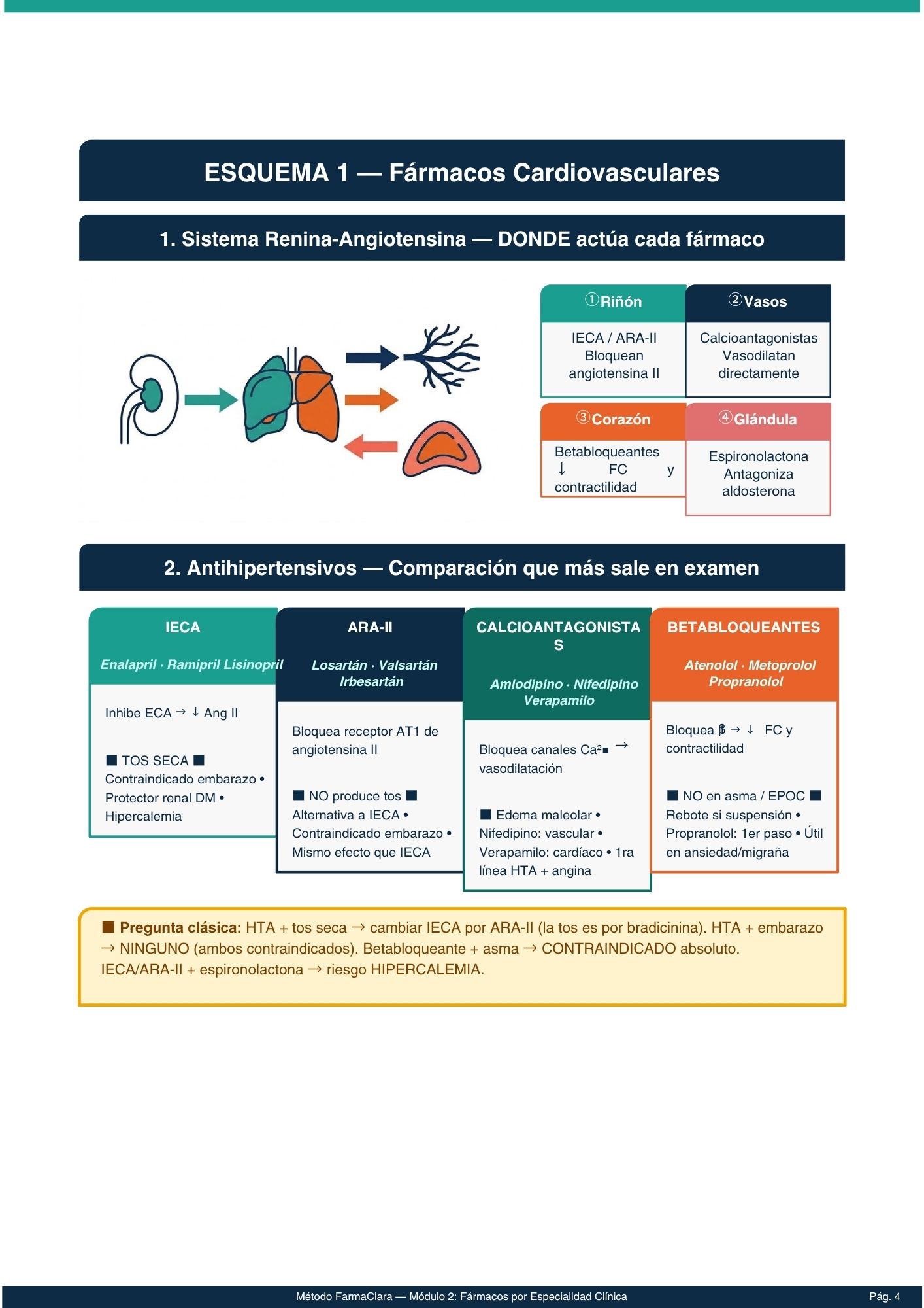 Flashcards analgesia