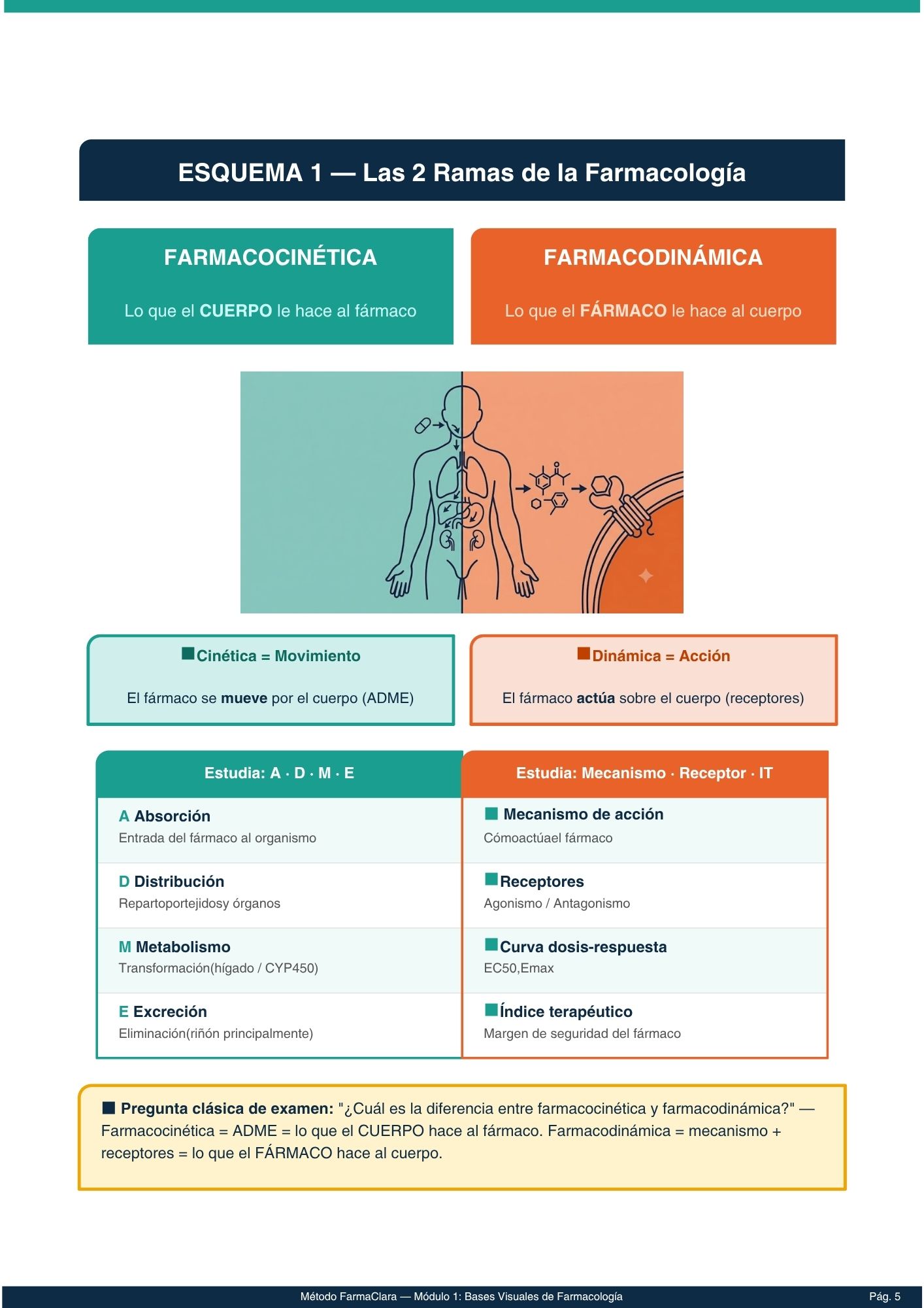 Comparativa insulinas